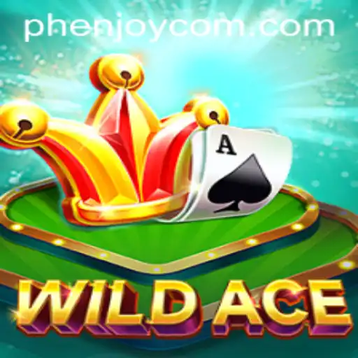 Unveiling WildAce: The Revolutionary Game Reshaping the Gaming Arena